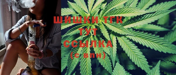 дмт Рославль